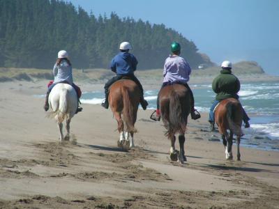 beach ride (20K)